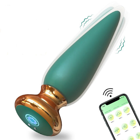 Wireless APP Control Anal Plug