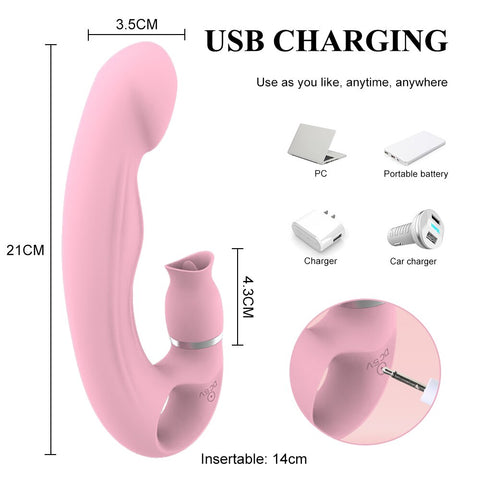 Women's Vibrator and Anal Stimulation