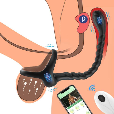 APP Remote Control Penis Ring Anal Plug Vibrators