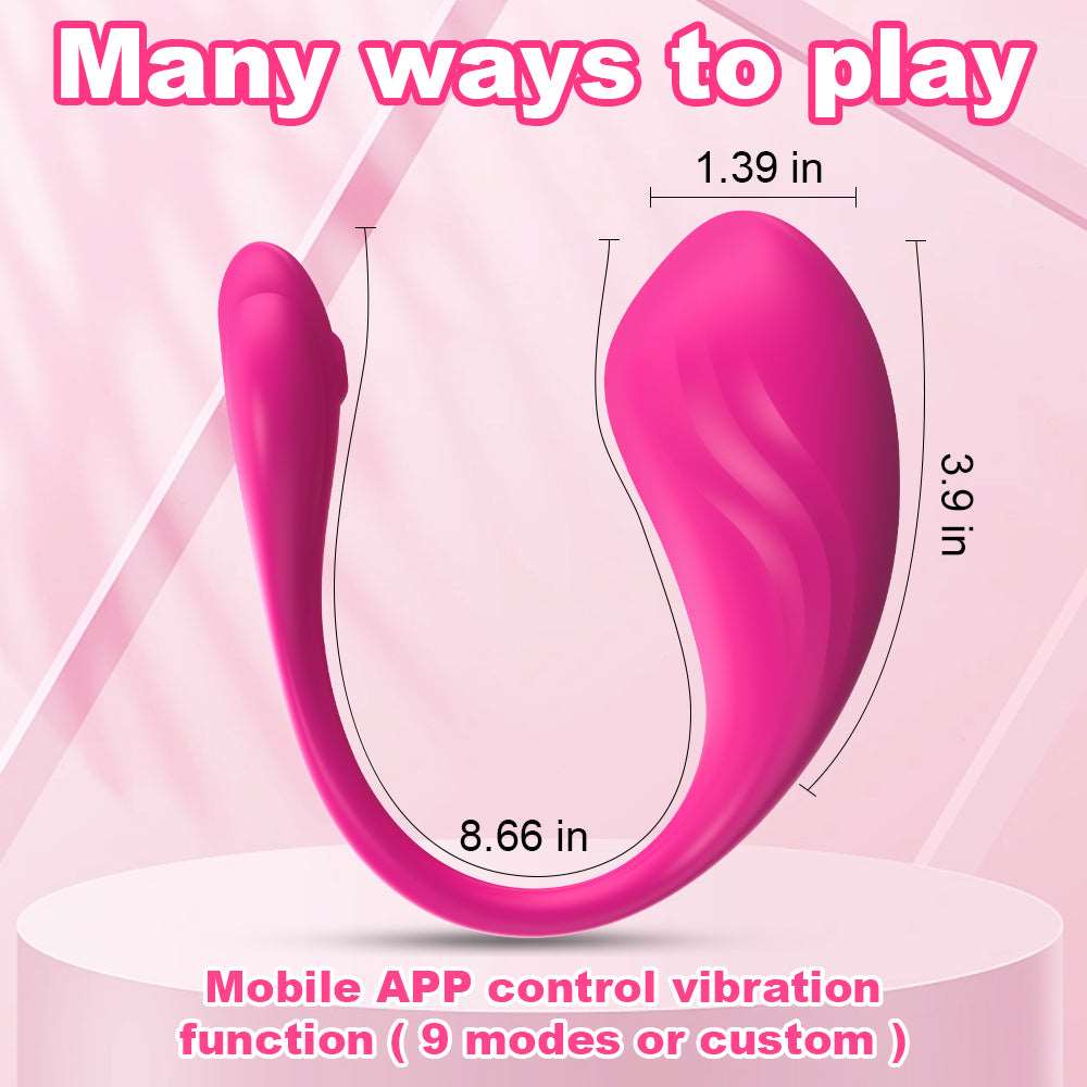 Wireless Vibrating Egg