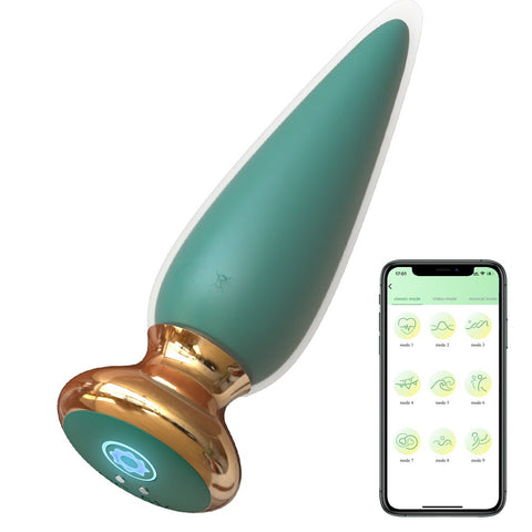 Wireless APP Control Anal Plug