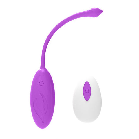 Wireless Remote Sex Egg Vibrator