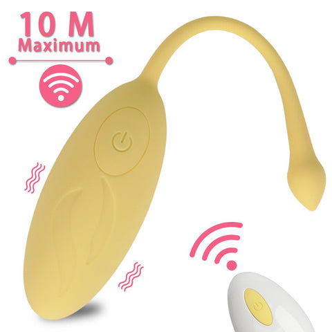 Wireless Remote Sex Egg Vibrator